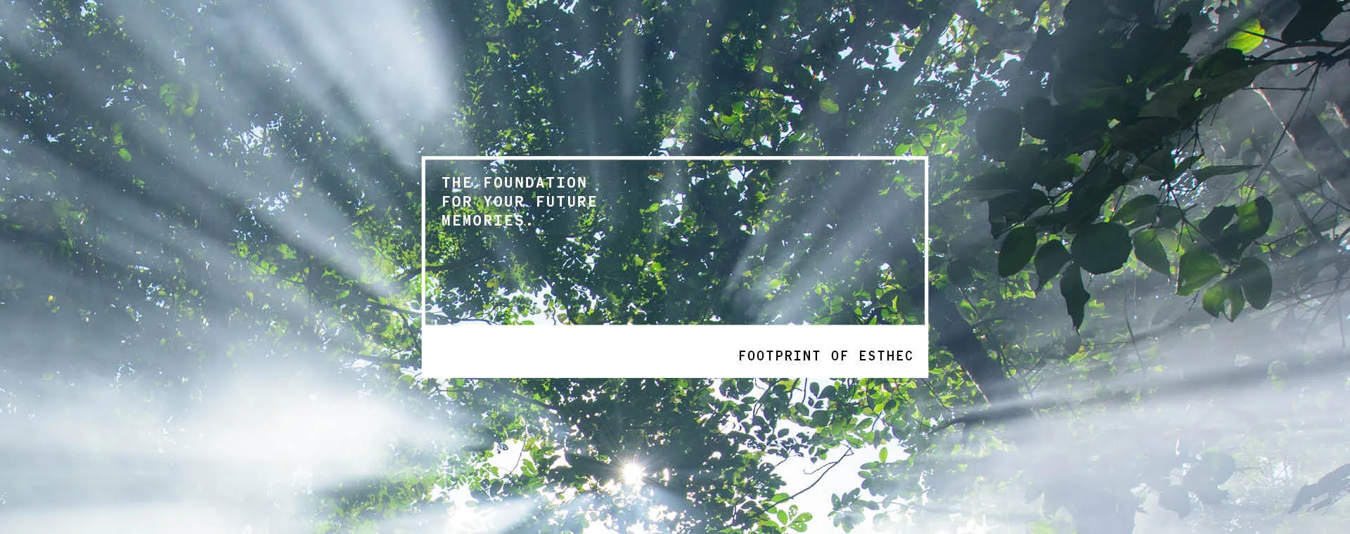 Header Sustainable 1920x760