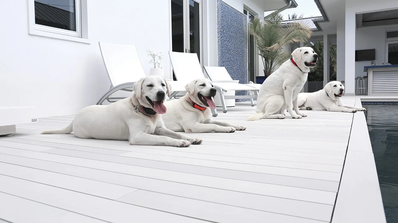 Delraybeach 1280x720 3