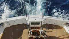 Northerndream 640x640 2