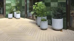 Hyattregency adam 640x640 2