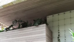 Starislands 1280x720 6