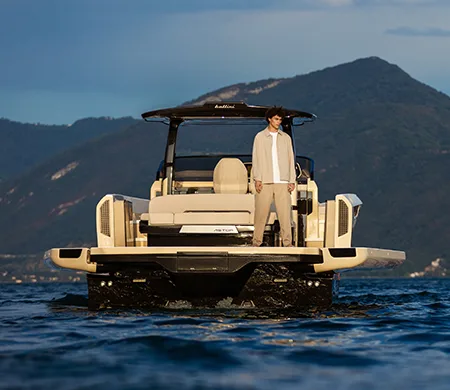 Belliniastor36 450x450