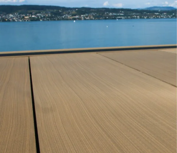 Zurichkupfer 450x450