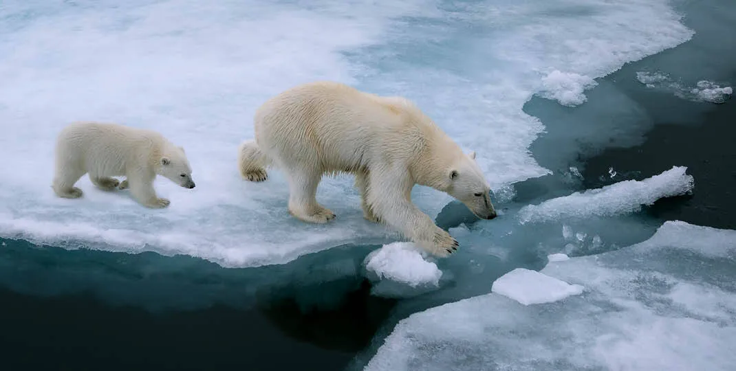 Footprint 4 1070x540