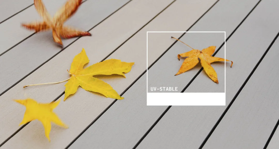 OD US Ps U Vstable 1080x580